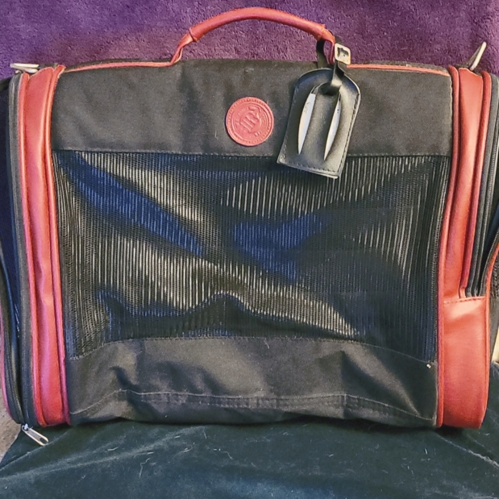 Blitze dog  Carrier